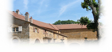 Объект из Керамическая черепица Edilians Plate Pressee 17x27 Ste Foy Rouge Nuancé