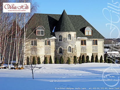 Объект из Облицовочные камни White Hills Искусственный декоративный камень Whitehills Ленстер 531-80