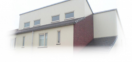 Объект из Керамическая черепица Edilians HP 10 Huguenot Argentique