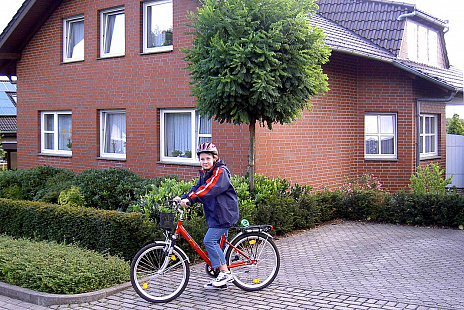 Объект из Клинкерный кирпич Roben WESTERWALD пестрый, гладкий