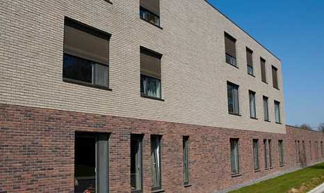 Объект из Клинкерная плитка Vandersanden 43. Argentis