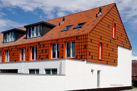 Объект из Керамическая черепица Roben Limburg синевато-серый (антрацит)