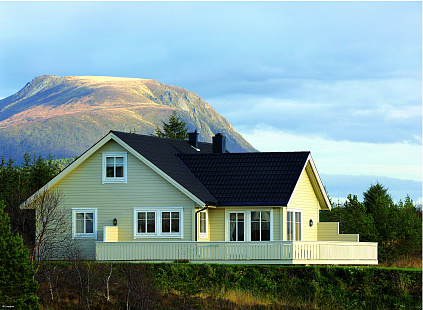 Объект из Композитная черепица AeroDek Композитная черепица рядовая AeroDek Tradition цвет Антрацит