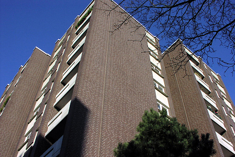 Объект из Кирпич Roben FARO черный с оттенком, гладкий