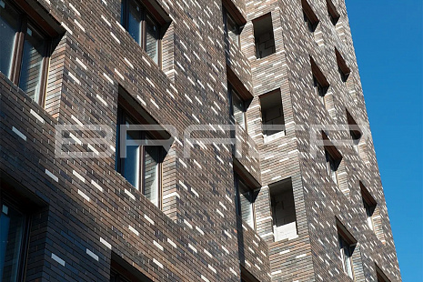 Объект из Кирпич BRAER Кладка-3 Limited, терра