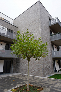 Объект из Клинкерная плитка Lexa Klinker DUBLIN