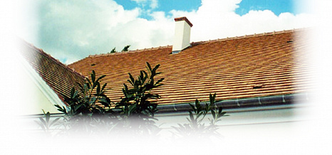 Объект из Керамическая черепица Edilians Plate Ecaille Pressee 17x27 Ste Foy Terre de Beauce