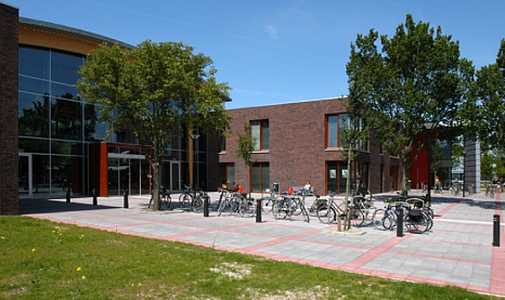 Объект из Кирпич Vandersanden 13 Viola