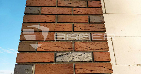 Объект из Кирпич BRAER КЛАДКА ГЛОССА, кора дуба 1 NF