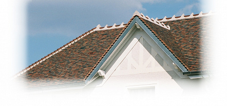 Объект из Керамическая черепица Edilians Plate Tradition 17x27 Phalempin Hermitage