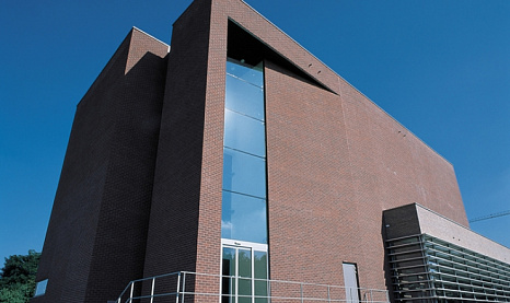 Объект из Клинкерная плитка Vandersanden 33. Parma