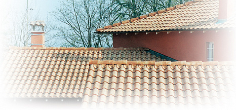 Объект из Керамическая черепица Edilians Omega 13 Nuancé Paille