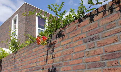 Объект из Клинкерная плитка Vandersanden 13. Viola