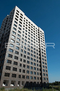 Объект из Кирпич BRAER Кладка-3 Limited, терра