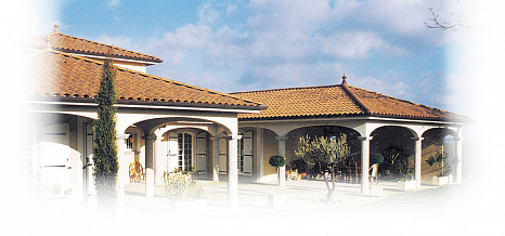 Объект из Керамическая черепица Edilians Omega 10 Vieilli Nuancé Sur Fond Rouge