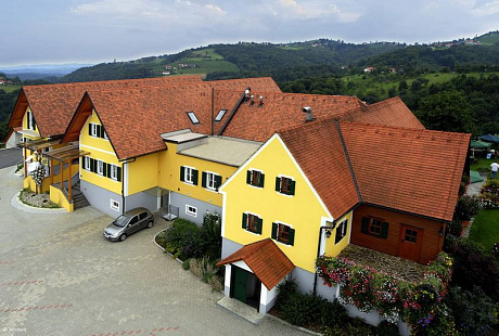 Объект из Керамическая черепица Tondach ВЕНСКАЯ ГРАНЕНАЯ ангобированный антик