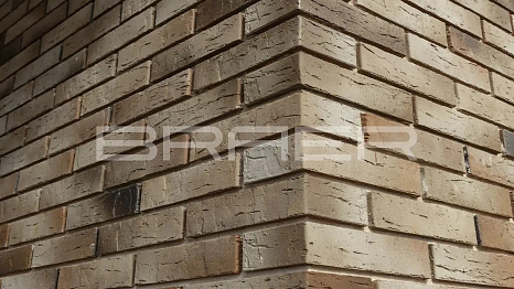 Объект из Кирпич BRAER PRO 14.04.1