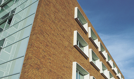 Объект из Клинкерная плитка Vandersanden 29. Primula