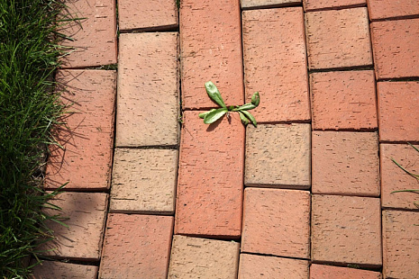 Объект из Брусчатка Vandersanden Мощение Vandersanden Radeberg