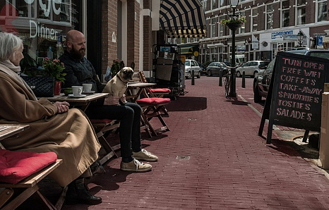 Объект из Клинкерная брусчатка Vandersanden Robina