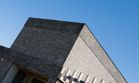 Объект из Кирпич Vandersanden 79 Anicius