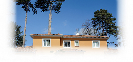 Объект из Керамическая черепица Edilians Omega 10 Vieux Toits