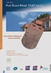 Plate Ecaille Pressee 17x27 Ste Foy