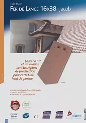 Fer de Lance 16x38 Jacob