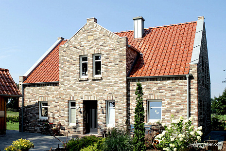 Объект из Керамическая черепица Roben Flandern Plus красный ангобированный