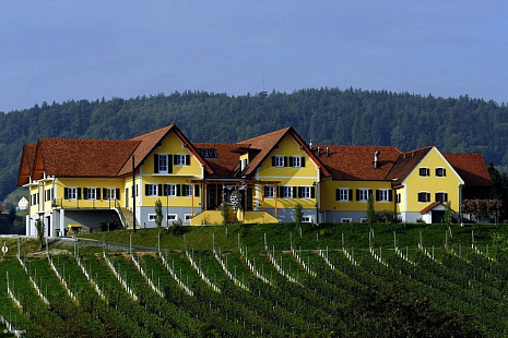 Объект из Керамическая черепица Tondach ВЕНСКАЯ ГРАНЕНАЯ ангобированный антик