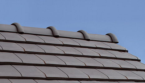 Объект из Керамическая черепица Edilians HP 10 Huguenot Vieilli Masse