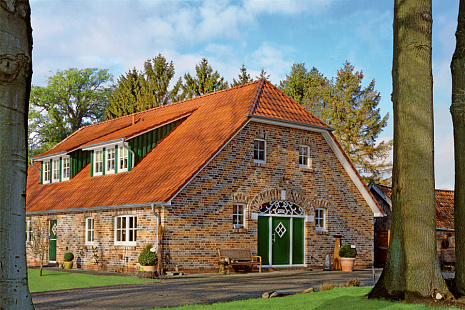 Объект из Керамическая черепица Roben Flandern Plus красный ангобированный