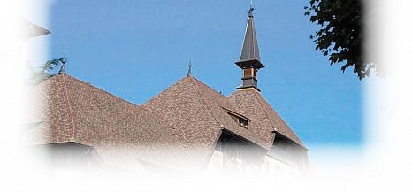 Объект из Керамическая черепица Edilians Plate Ecaille Pressee 17x27 Ste Foy Chevreuse