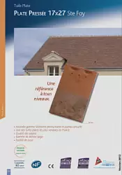 Plate Pressee 17x27 Ste Foy