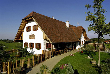 Объект из Керамическая черепица Tondach ВЕНСКАЯ ГРАНЕНАЯ ангобированный антик