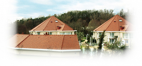 Объект из Керамическая черепица Edilians Beauvoise Huguenot Flammé Rustique