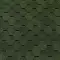 Top Shingle Смальто зеленая