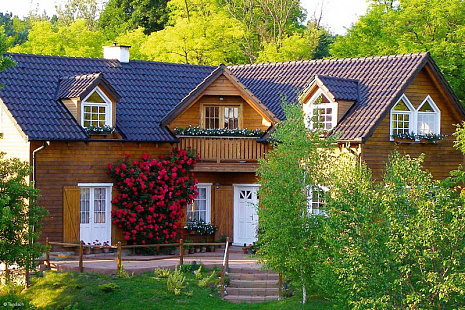 Объект из Керамическая черепица Tondach САМБА ангобированный коричневый