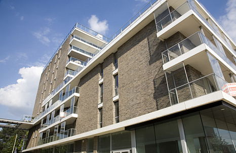 Объект из Кирпич для бесшовной кладки Vandersanden 45 Lithium