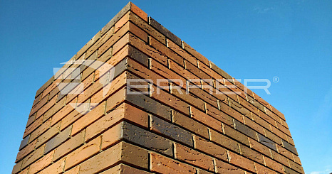 Объект из Кирпич BRAER КЛАДКА ГЛОССА, кора дуба 1 NF
