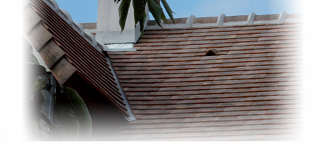 Объект из Керамическая черепица Edilians Neoplate Chevreuse