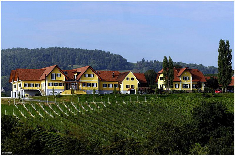 Объект из Керамическая черепица Tondach ВЕНСКАЯ ГРАНЕНАЯ ангобированный антик