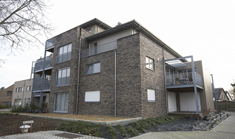 Объект из Клинкерная плитка Vandersanden 45. Lithium