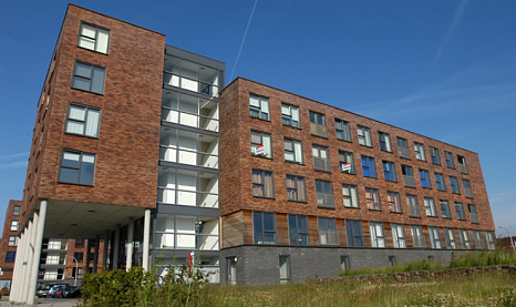 Объект из Клинкерная плитка Vandersanden 29. Primula