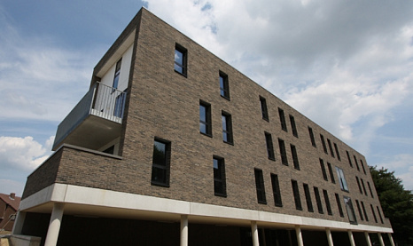 Объект из Клинкерная плитка Vandersanden 122. Brama