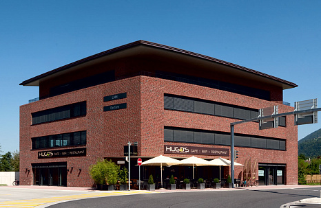 Объект из Кирпич Roben WASSERSTRICH  светлокрасный пестрый