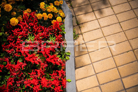 Объект из Брусчатка BRAER Тротуарная плитка «Прямоугольник» ПЕСОЧНЫЙ