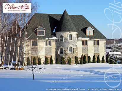 Объект из Облицовочные камни White Hills Искусственный декоративный камень Whitehills Тилл 450-10