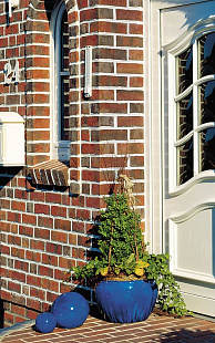 Объект из Кирпич Roben FORMBACK огненнопестрый