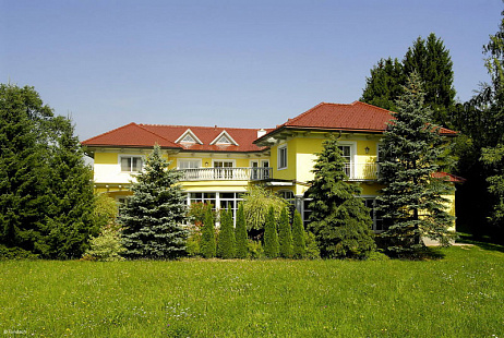 Объект из Керамическая черепица Tondach БОБРОВКА Глазурь Амадеус натуральная